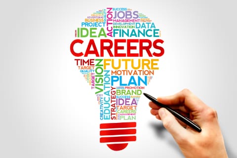 Career