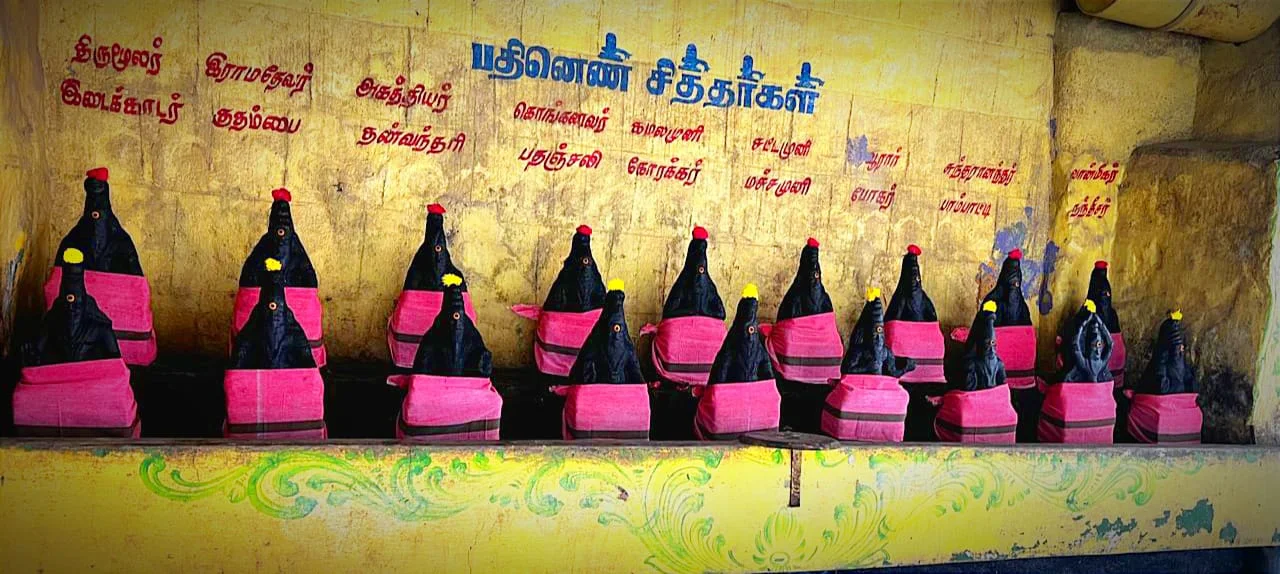 Nadi Astrology